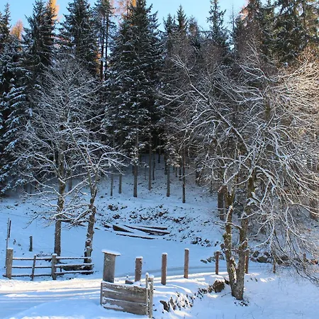 Holiday home Almidylle In Sankt Martin am Tennengebirge